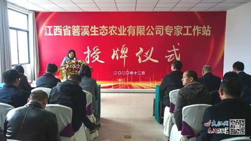 武宁新闻爆料事件最新,真相追踪与舆论漩涡